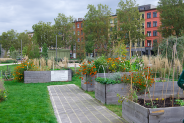 samentuin Park Dok Zuid