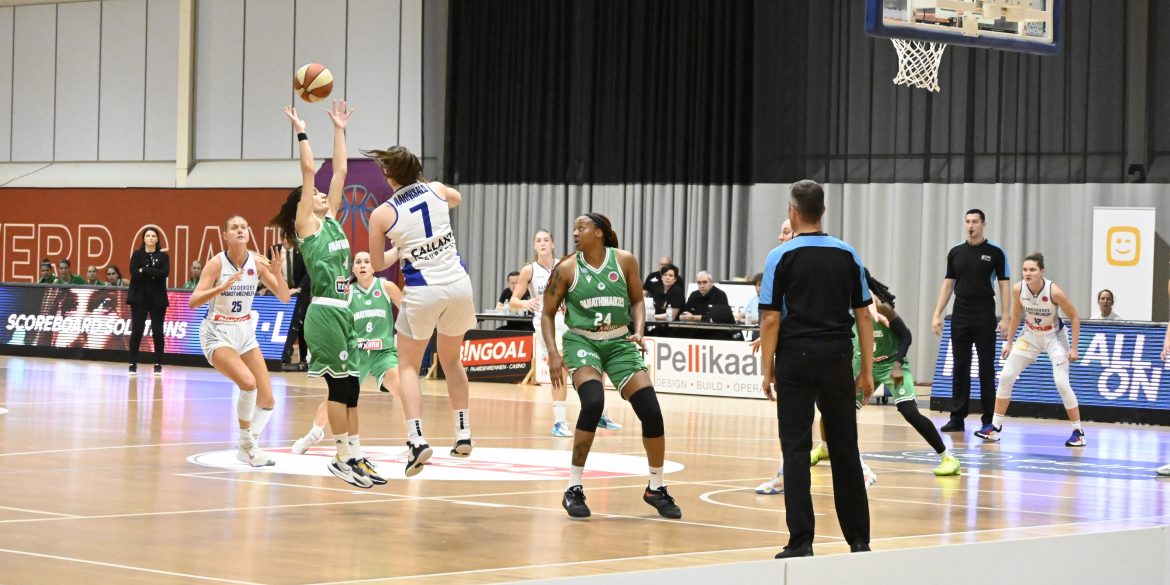 Professionele basketbalspeelsters