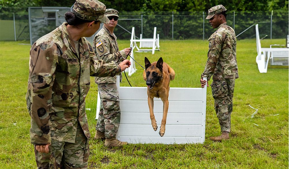 Militaire hond en soldaten