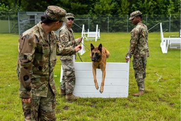 Militaire hond en soldaten