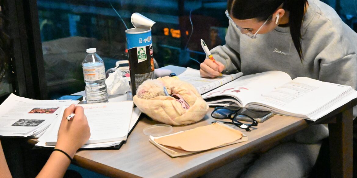 2 meiden studeren in Permeke bibliotheek. De rechtse houdt een gele fluostift vast.