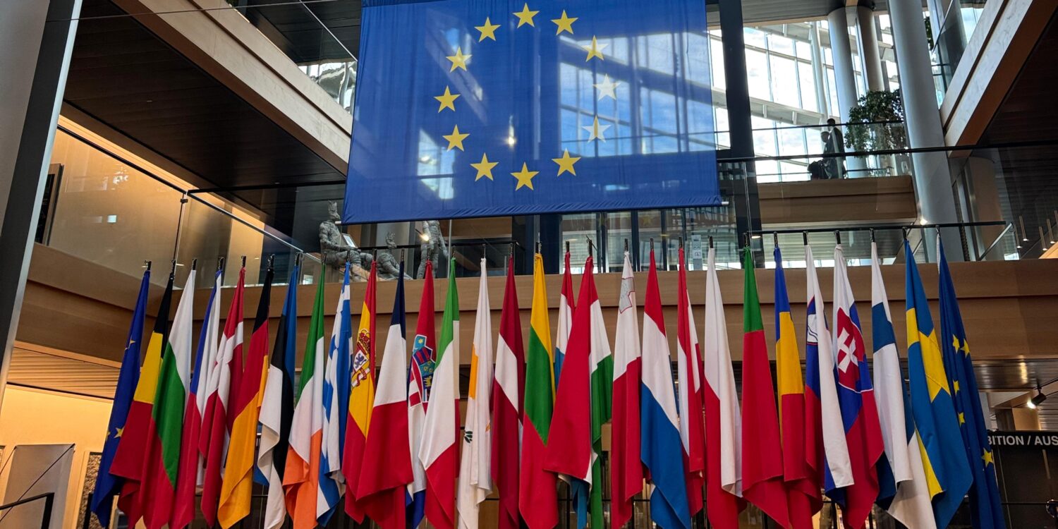 Display of European Union member state flags in front of a large EU flag inside a modern, glass-and-steel architectural building with natural light streaming in.