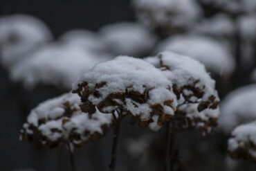 Minder sneeuwval in de Alpen.