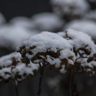 Minder sneeuwval in de Alpen.