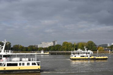 Foto boten in de schelde