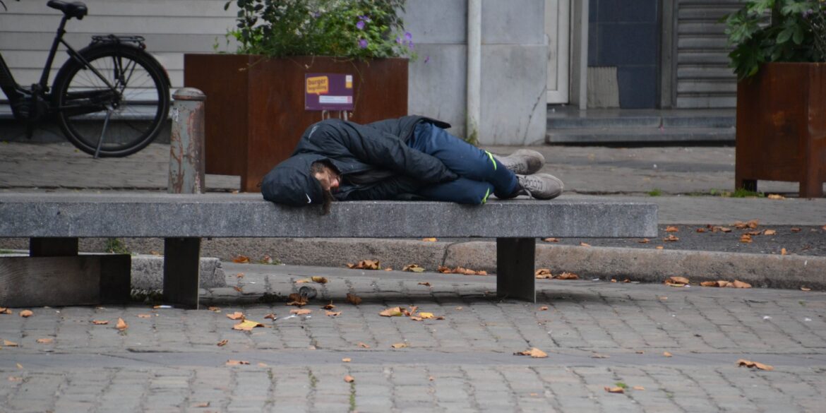 Daklozentelling