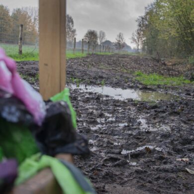 De gladde ingang van de nieuwe hondenloopzone in Itegem
