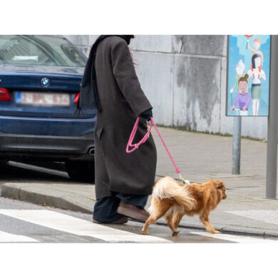 Vrouw wandelt met hond.