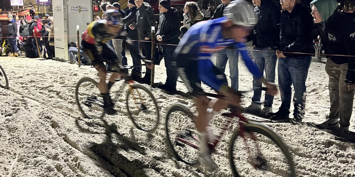 Veldrit aan het Zilvermeer Mol