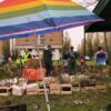 Bomen planten aan Luchtbal