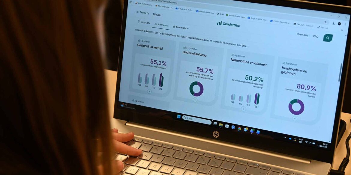 Iemand kijkt naar GenderStat.be
