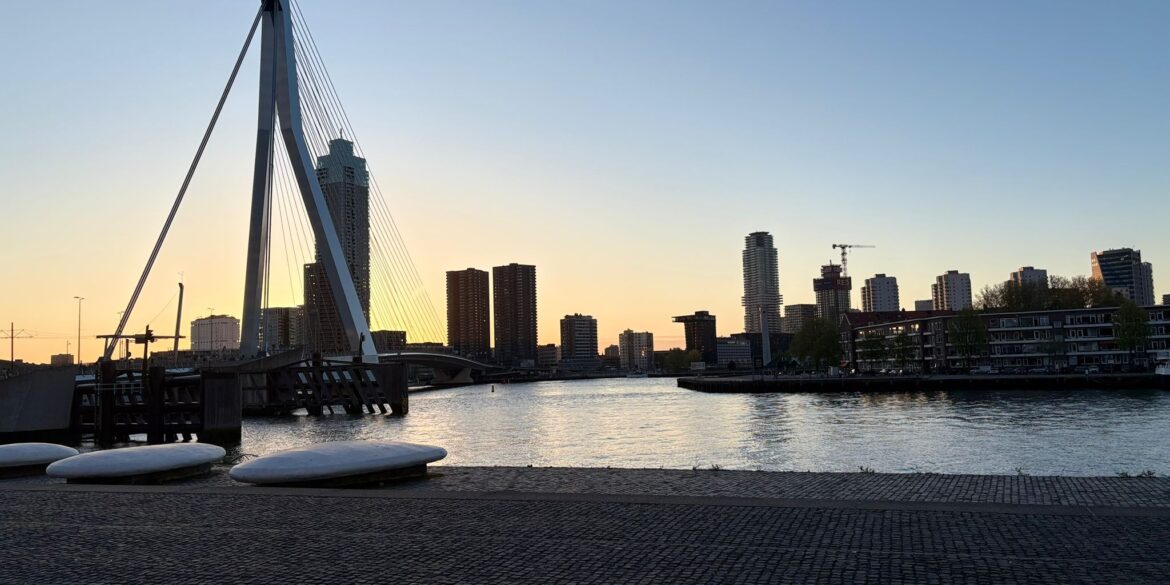Rotterdam skyline met Erasmusbrug