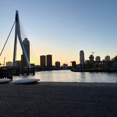 Rotterdam skyline met Erasmusbrug