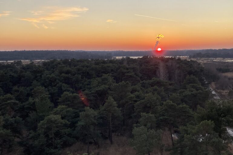 Kalmthoutse Heide