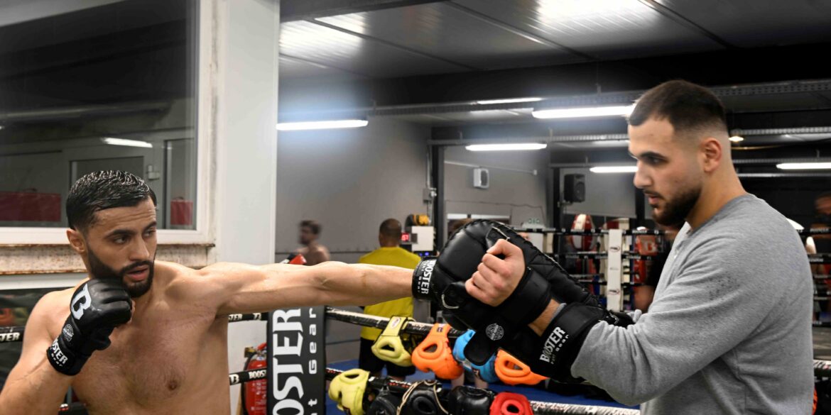 Boxclub Bulldogs Merksem