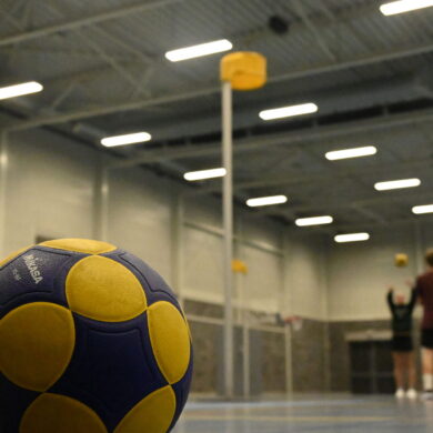 EK korfbal: afbeelding van een bal en de korf.